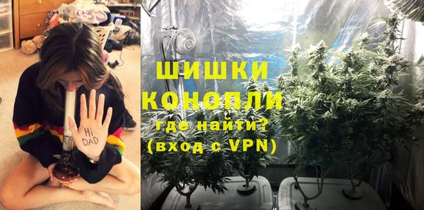 молекула духа Алзамай