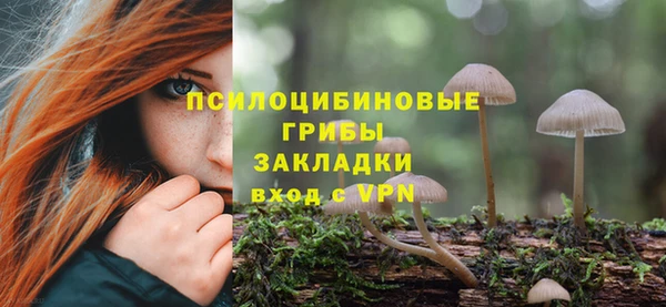 молекула духа Алзамай