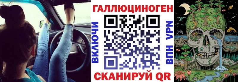 Купить  Макаров  Галлюциногенные грибы Cubensis 